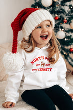 Load image into Gallery viewer, North Pole University Hoodie
